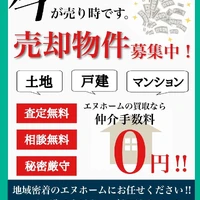 画像1251