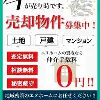 画像1261