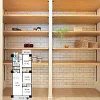 画像2494