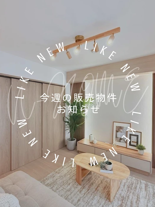 画像2947