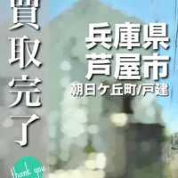画像2976