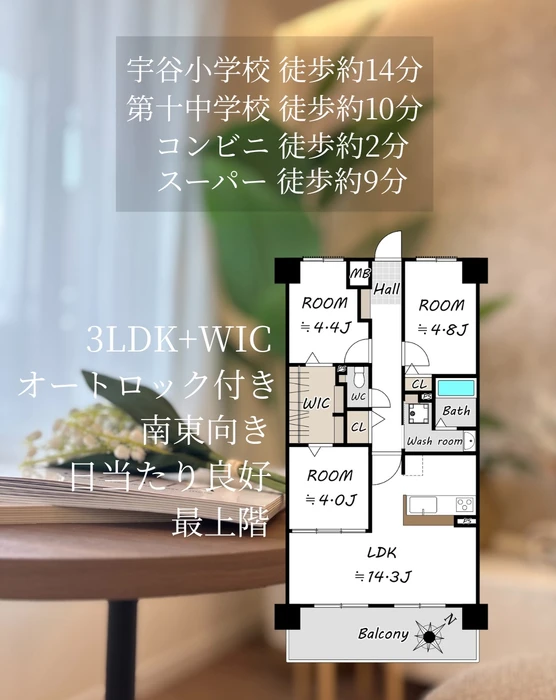 画像3164