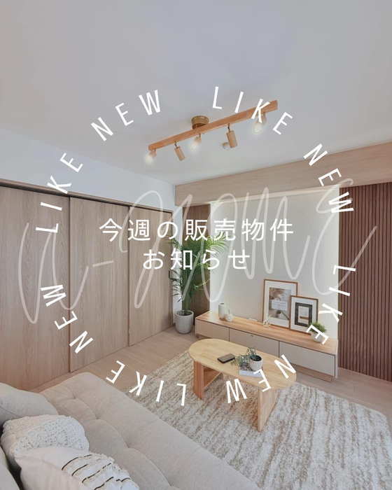 画像3273