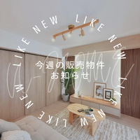 画像3291